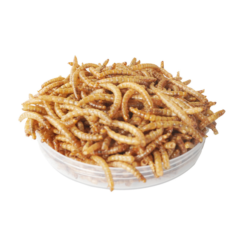 Food Snacks With Protein - Przekąski bogate w białko dla chomików,